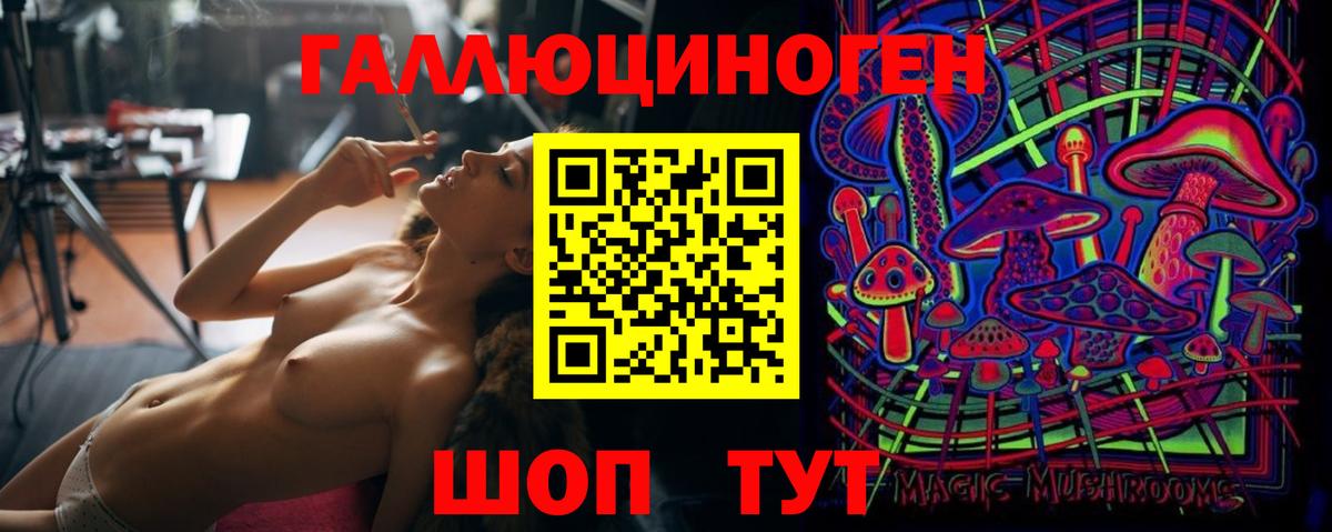 Пугачёв  продажа наркотиков  Вход с VPN  Псилоцибиновые грибы MAGIC MUSHROOMS 
