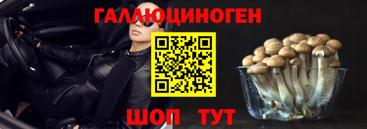 Галлюциногенные грибы GOLDEN TEACHER Пугачёв